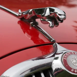 Jaguar