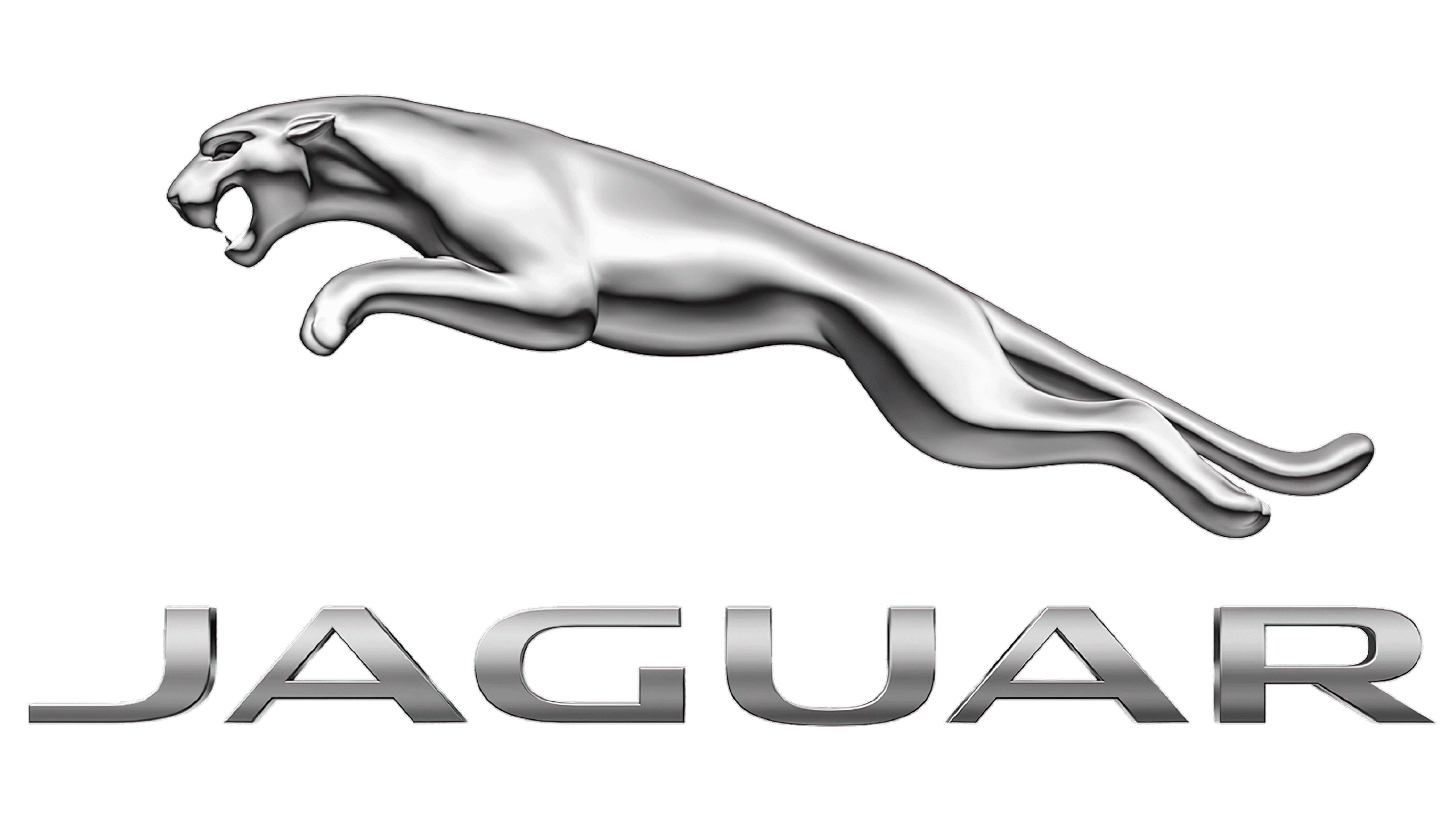 Jaguar inspection