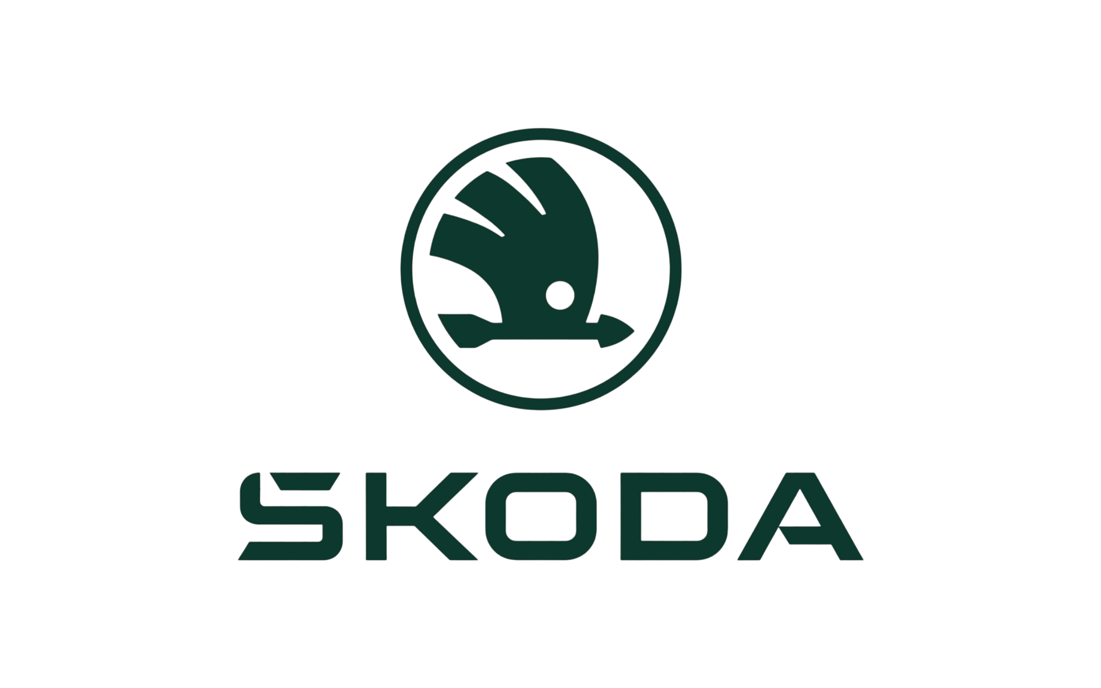 Skoda inspection
