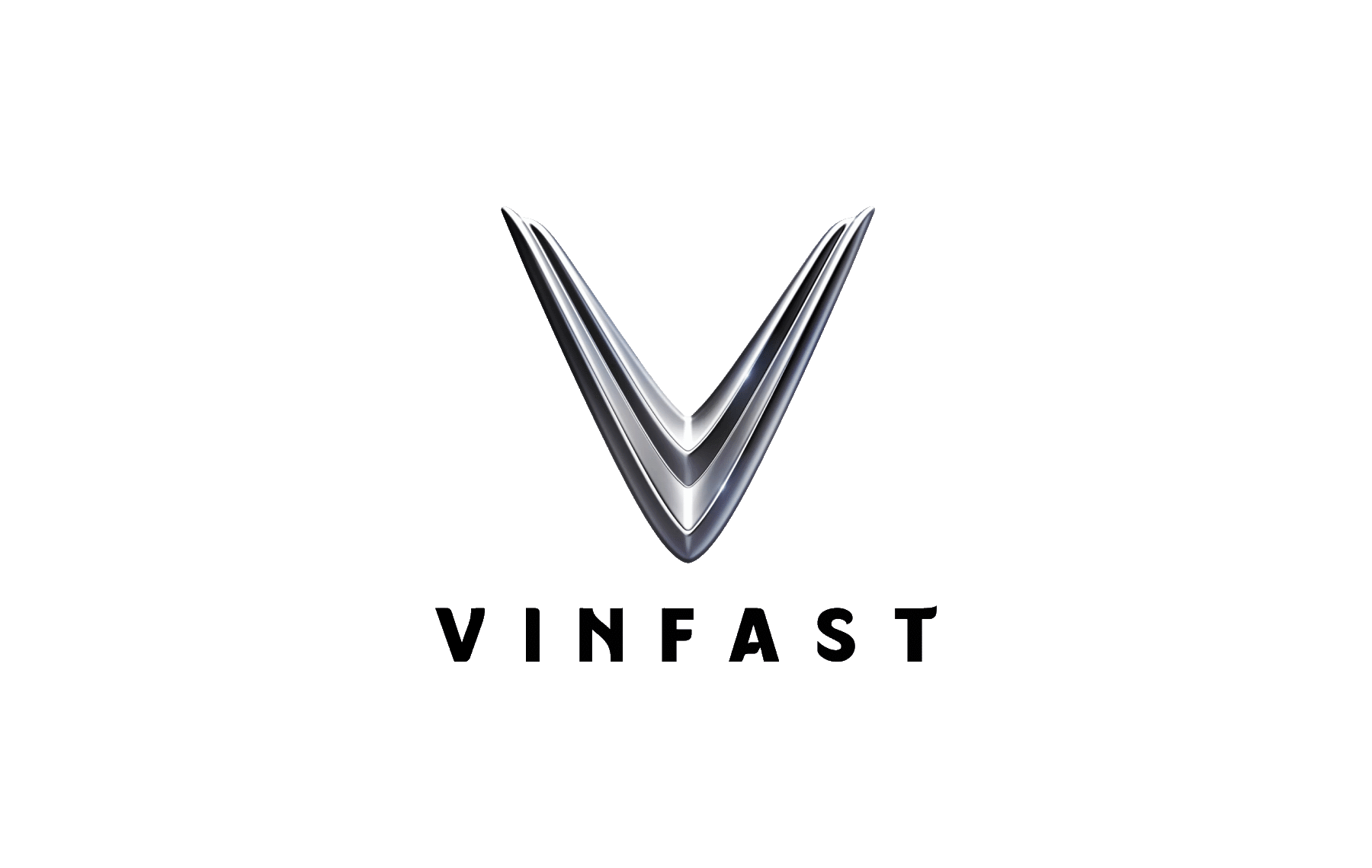 VinFast inspection